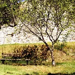 Al Castello Di Montalfoglio San Lorenzo in Campo